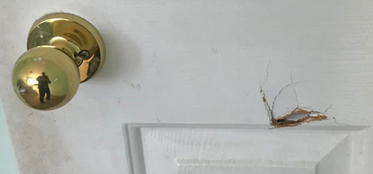 interior door hole repair Palermo